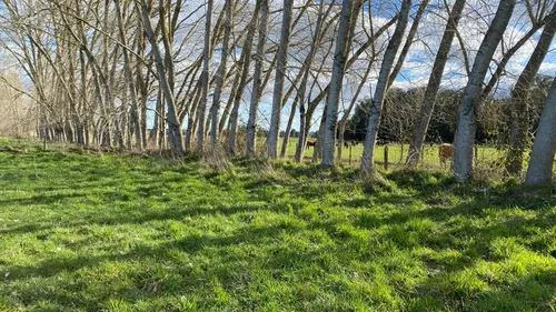 Parcela en Venta en A 20 min de Frutillar ruta v200