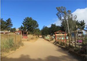 Galeria