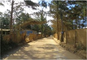 Galeria