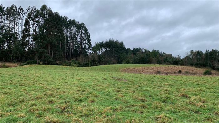 Parcela en Venta en Parcela de agrado con luz (soterrada) y agua en terrazas de Puerto Varas