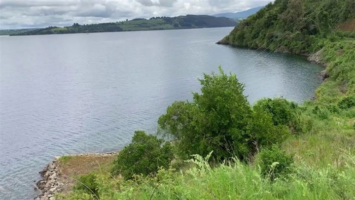 Parcela en Venta en Lago Ranco, Futrono, La Trafa