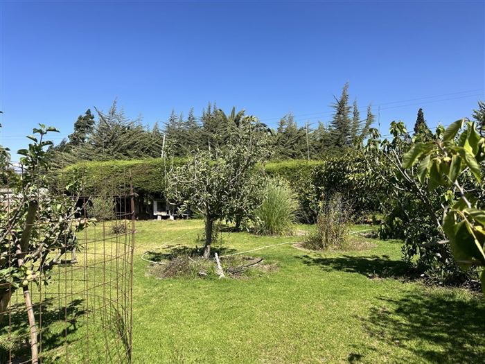 Parcela en Venta en HERMOSA PARCELA DE AGRADO CAMIO AL VALLE DE ELQUI, 20 MINUTOS DEL CENTRO DE LA SERENA