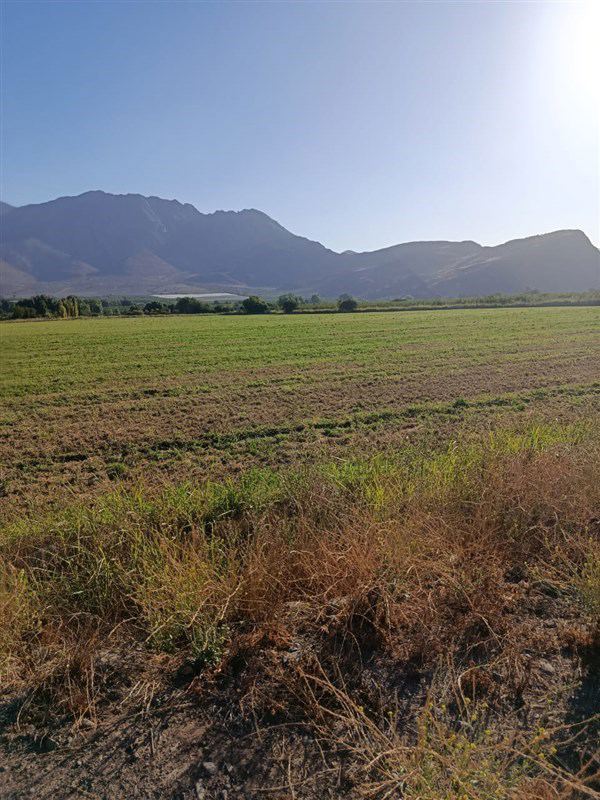 Parcela en Venta en San Vicente de Tagua Tagua