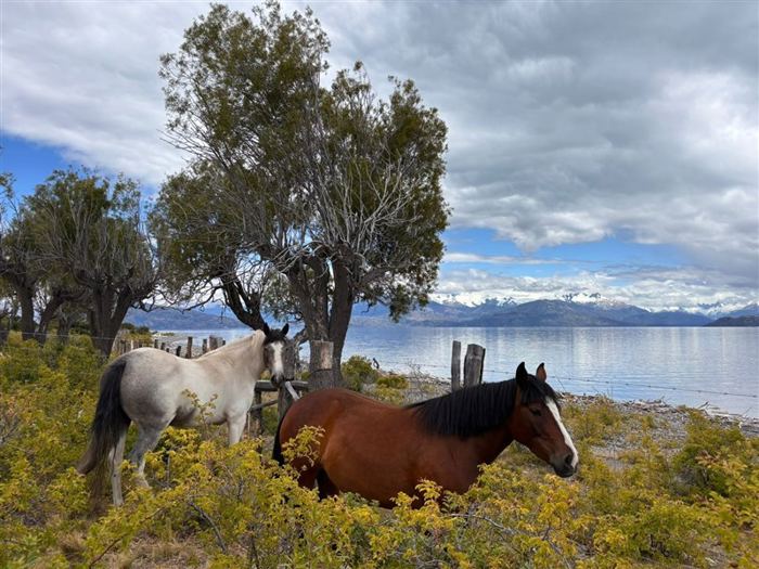 Parcela en Venta en HERMOSA PARCELA CERCA DE PUERTO GAUDAL CHILE CHICO