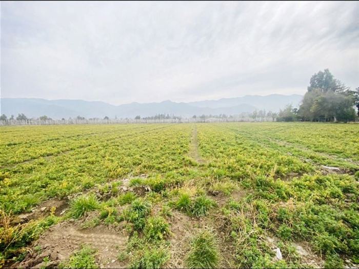 Parcela en Venta en OPORTUNDAD UNICA !!! TERRENO DE INMENSA PLUSVALIA EN RINCONADA LOS ANDES, CARRETERA SAN MARTIN