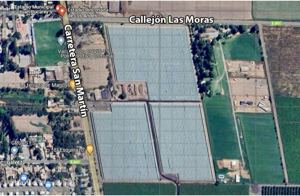 Galeria