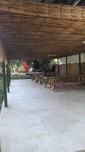 Galeria