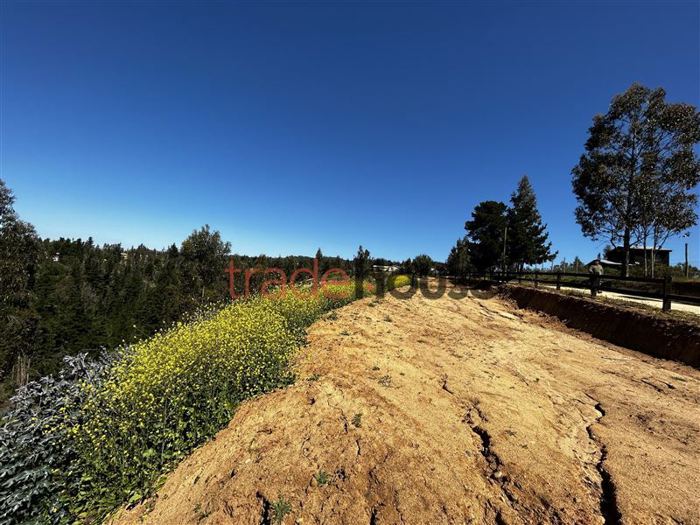 Parcela en Venta en Pupuya, Navidad