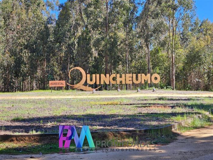 Parcela en Venta en Hacienda Tanume