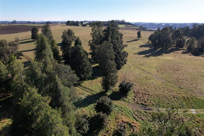 Parcela en Venta en HERMOSA PARCELA DE AGRADO 5.000 M2 NUEBA BRAUNA
