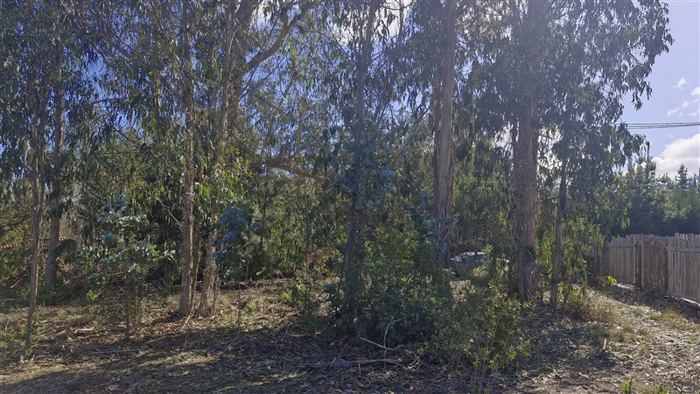 Parcela en Venta en Camino Las Dichas Kilometro 5