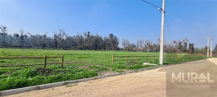 Parcela en Venta en Carampangue - Colegio El Trebulco - Autopista del Sol