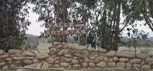 Galeria