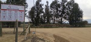 Galeria