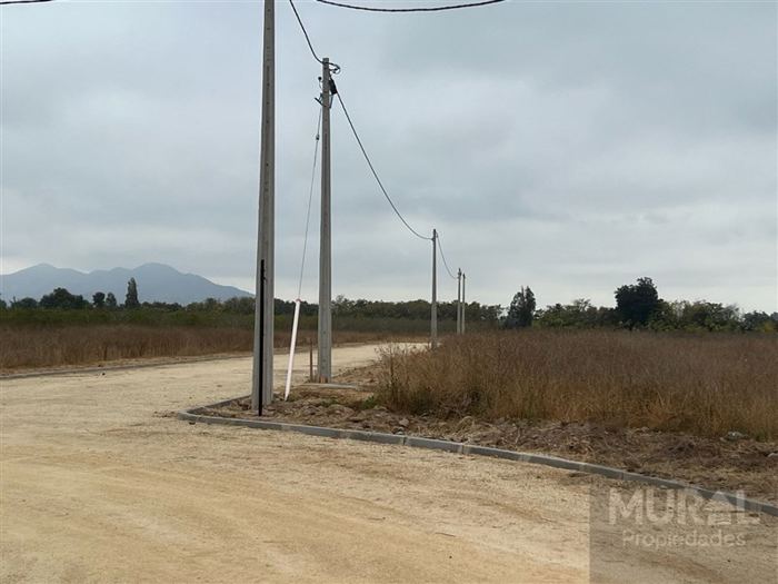 Parcela en Venta en Avda. Manuel Castillo / Avda. Calera de Tango
