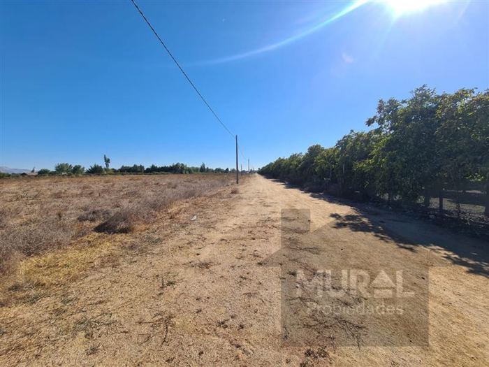 Parcela en Venta en Camino El Oliveto - Balmaceda - Talagante