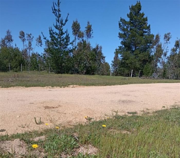 Parcela en Venta en BUCALEMU