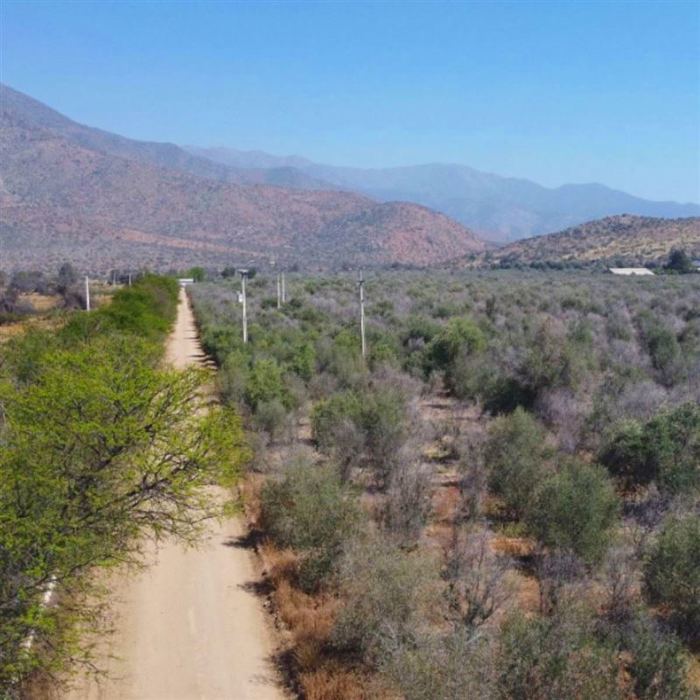 Parcela en Venta en Plazuela de Polpaico