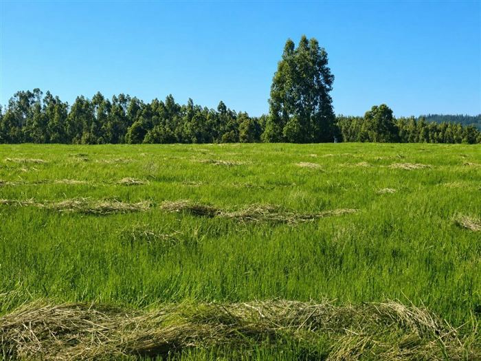 Parcela en Venta en PICHILEMU