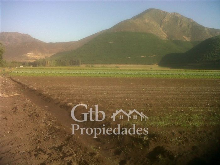 Parcela en Venta en Ruta 5 km 87,5