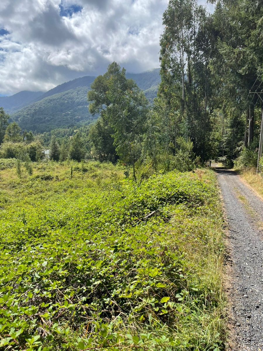 Parcela de 5.000 m² en Trufulco, a 15 km del centro de Pucón